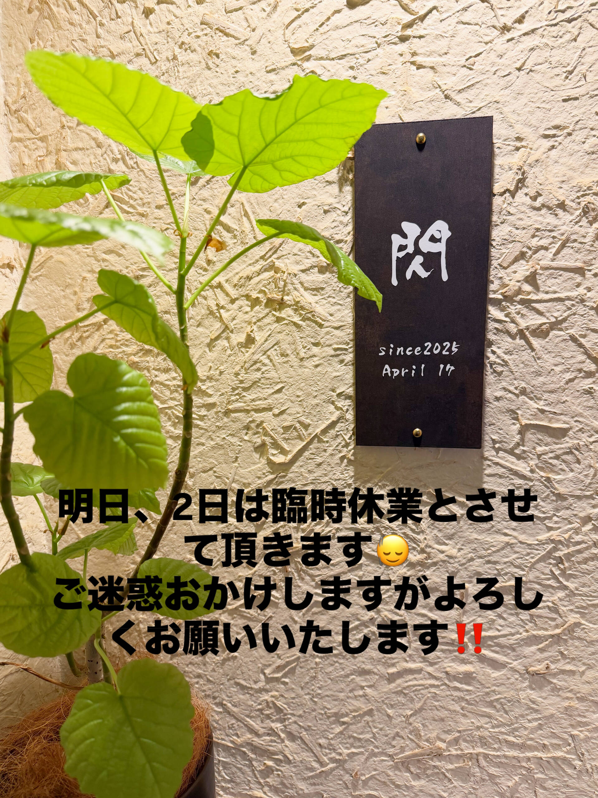 焼肉閃です🐮🍖✧*｡